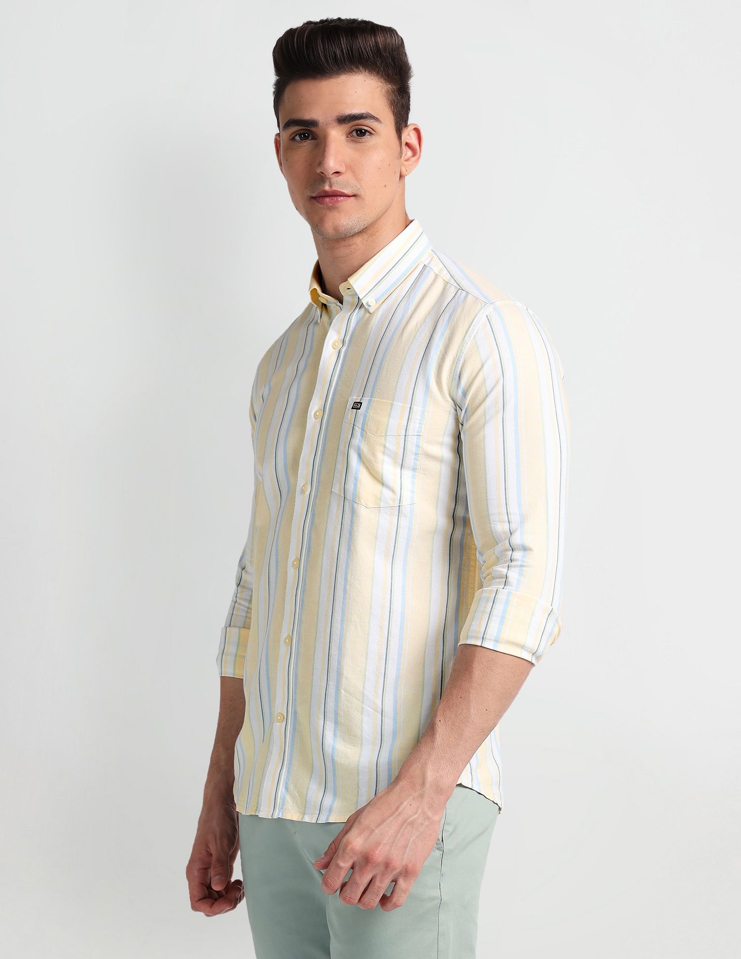 Arrow Sports vertical Stripe Oxford Shirt