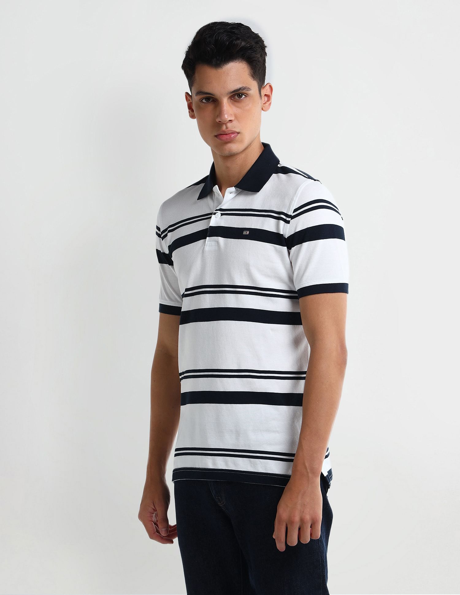 Arrow Sport Dynamax Horizontal Striped Regular Polo Shirt
