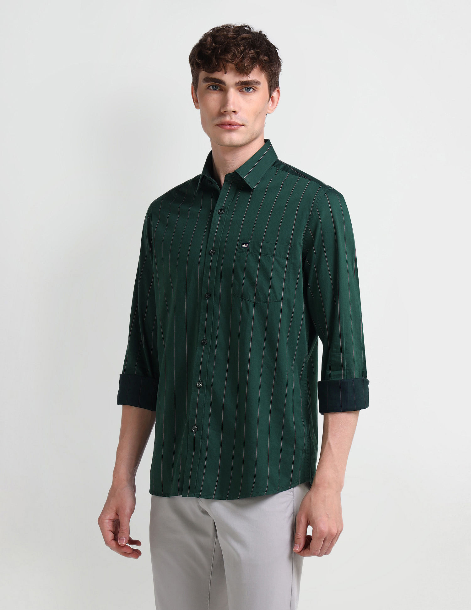 Arrow Sport Manhattan Slim Vertical Striped Shirt