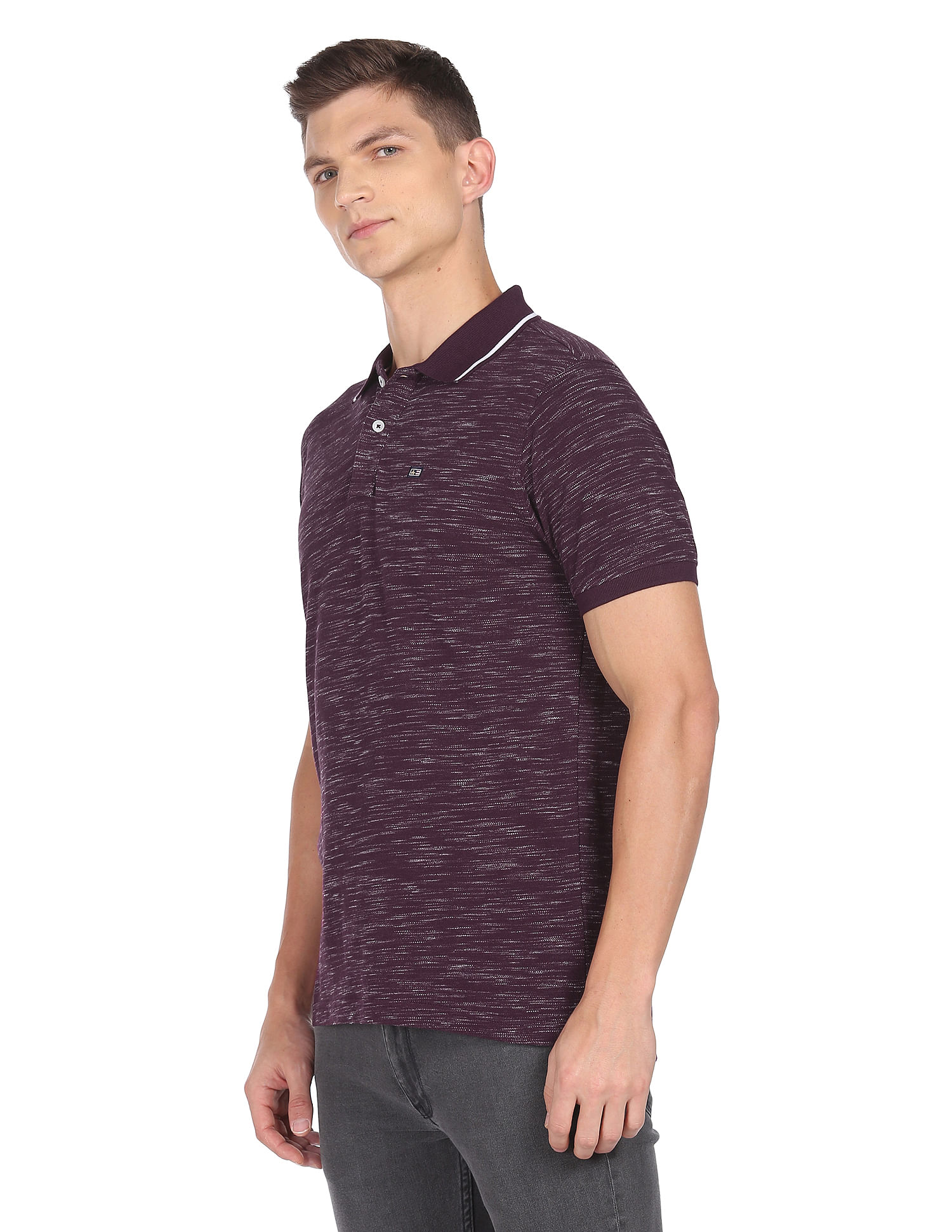 Arrow Sports Striped Collar Heathered Cotton Polo Shirt