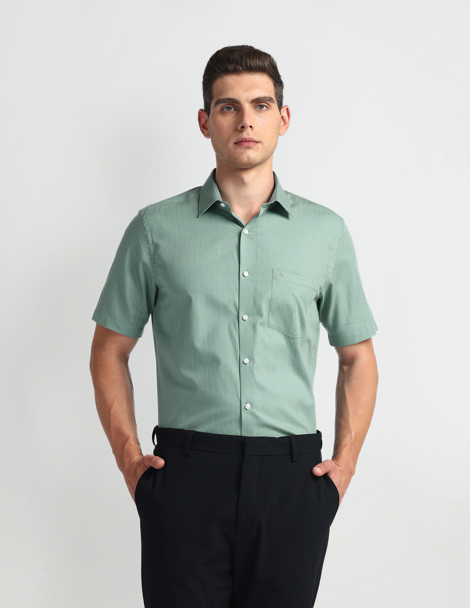 Arrow Vertical Stripe Twill Shirt