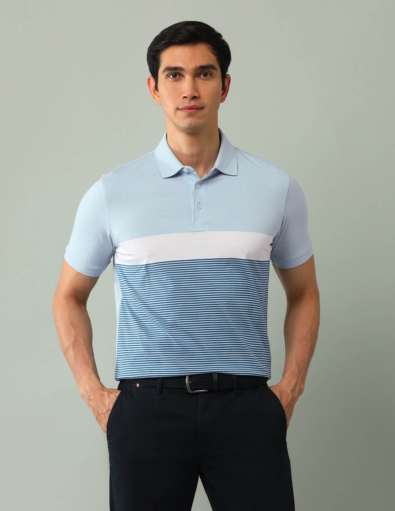 Arrow Horizontal Striped Regular Fit Polo Shirt