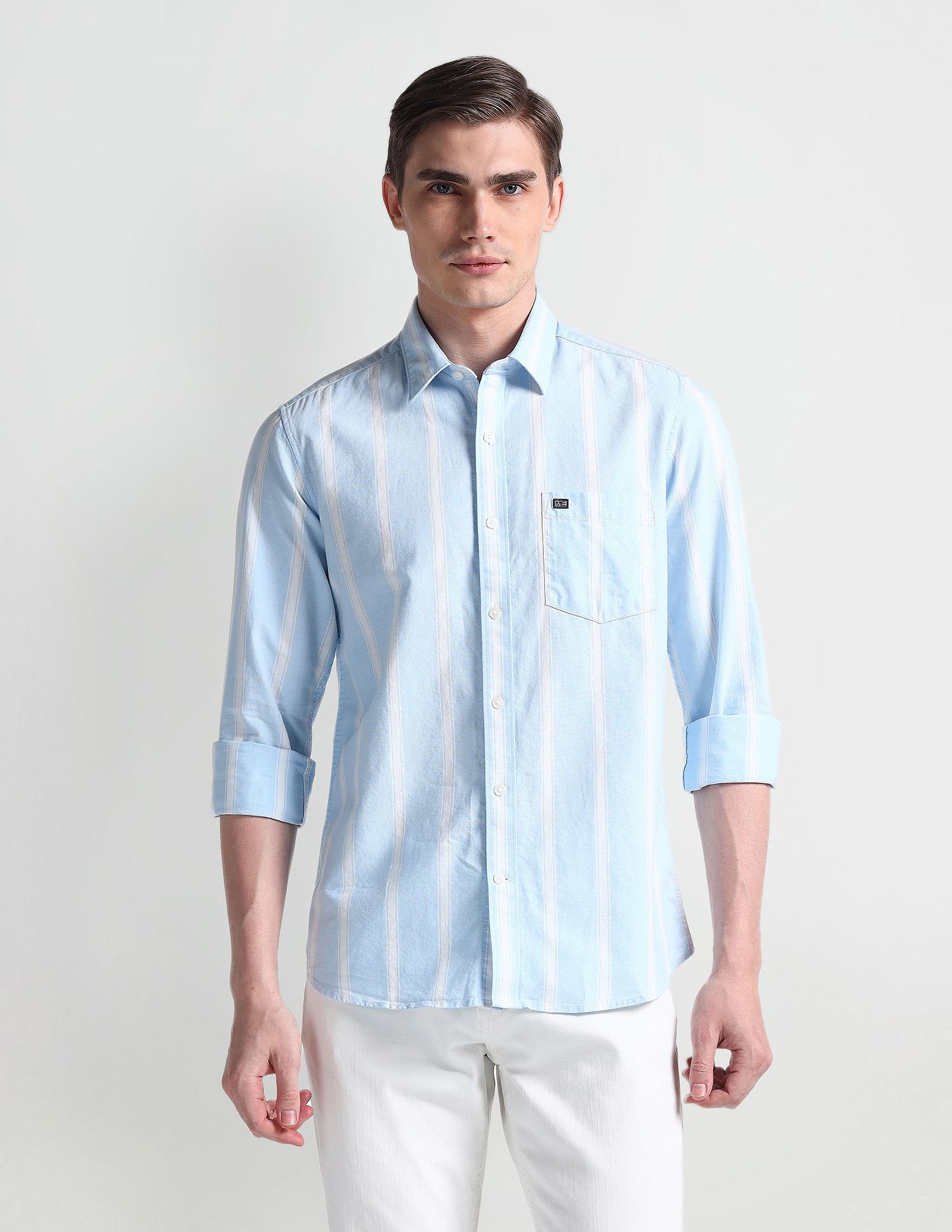 Arrow Sport Vertical Stripe Cotton Shirt