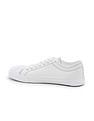 Flying Machine Solid Canvas Maurice Sneakers