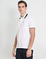 Arrow Sports Striped Collar Solid Pique Polo Shirt