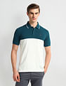 Arrow Sport Regular Fit Clourblocked Polo Shirt