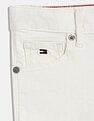 Tommy Hilfiger Solid Regular Fit Shorts