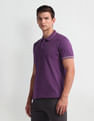Arrow Sport Striped Collar Polo Shirt