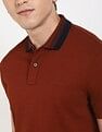 Tommy Hilfiger Solid Regular-Fit Cotton Polo Shirt