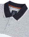 AD by Arvind Cotton Colour Block Polo Shirt