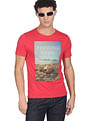 Flying Machine Cotton Graphic Print T-Shirt
