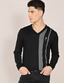 U.S. Polo Assn. V-Neck Vertical Stripe Sweater