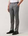 Arrow Regular Fit Textured Trousers