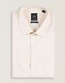 Arrow Manhattan Slim Fit Autopress Shirt