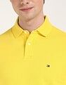 Tommy Hilfiger Solid Regular-Fit Cotton Polo Shirt